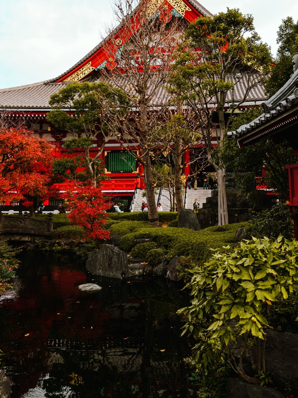 Trees at the Senso-ji temple in Tokyo