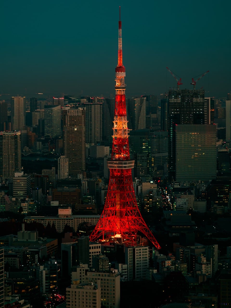 The Tokyo Tower Illuminated at Night