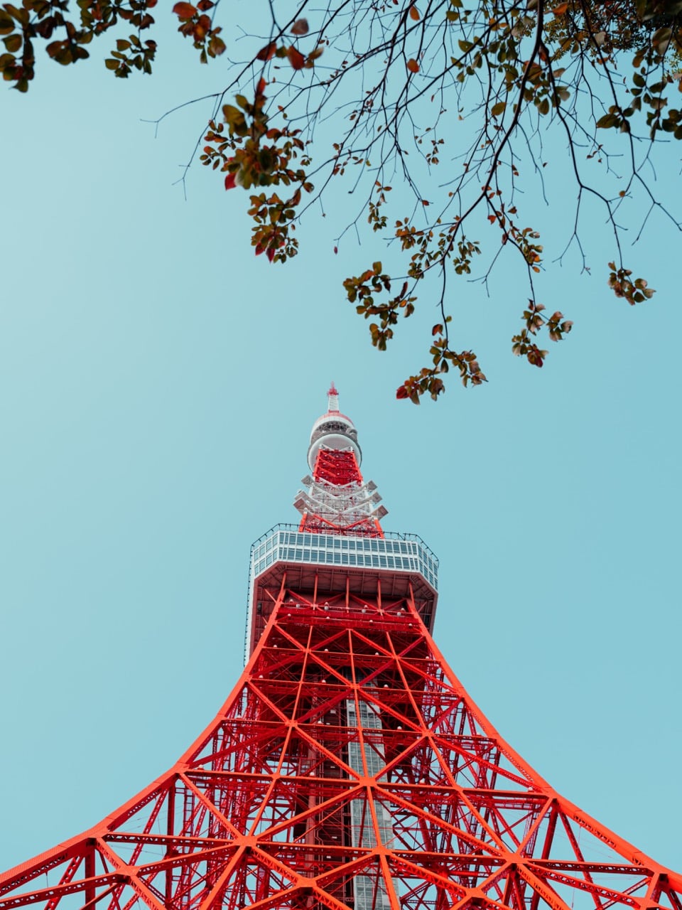 A view toward of the Tokyo Tower from a park in the city