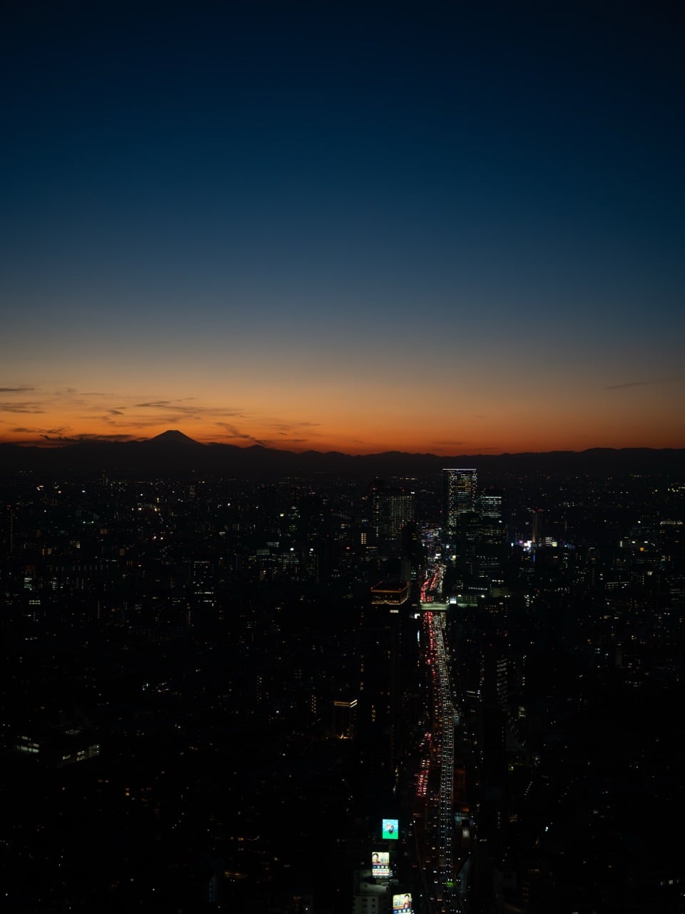 A view of Tokyo with Mount Fuji in the background