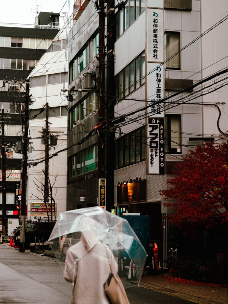 A person with an umbrella in Osaka, Japan