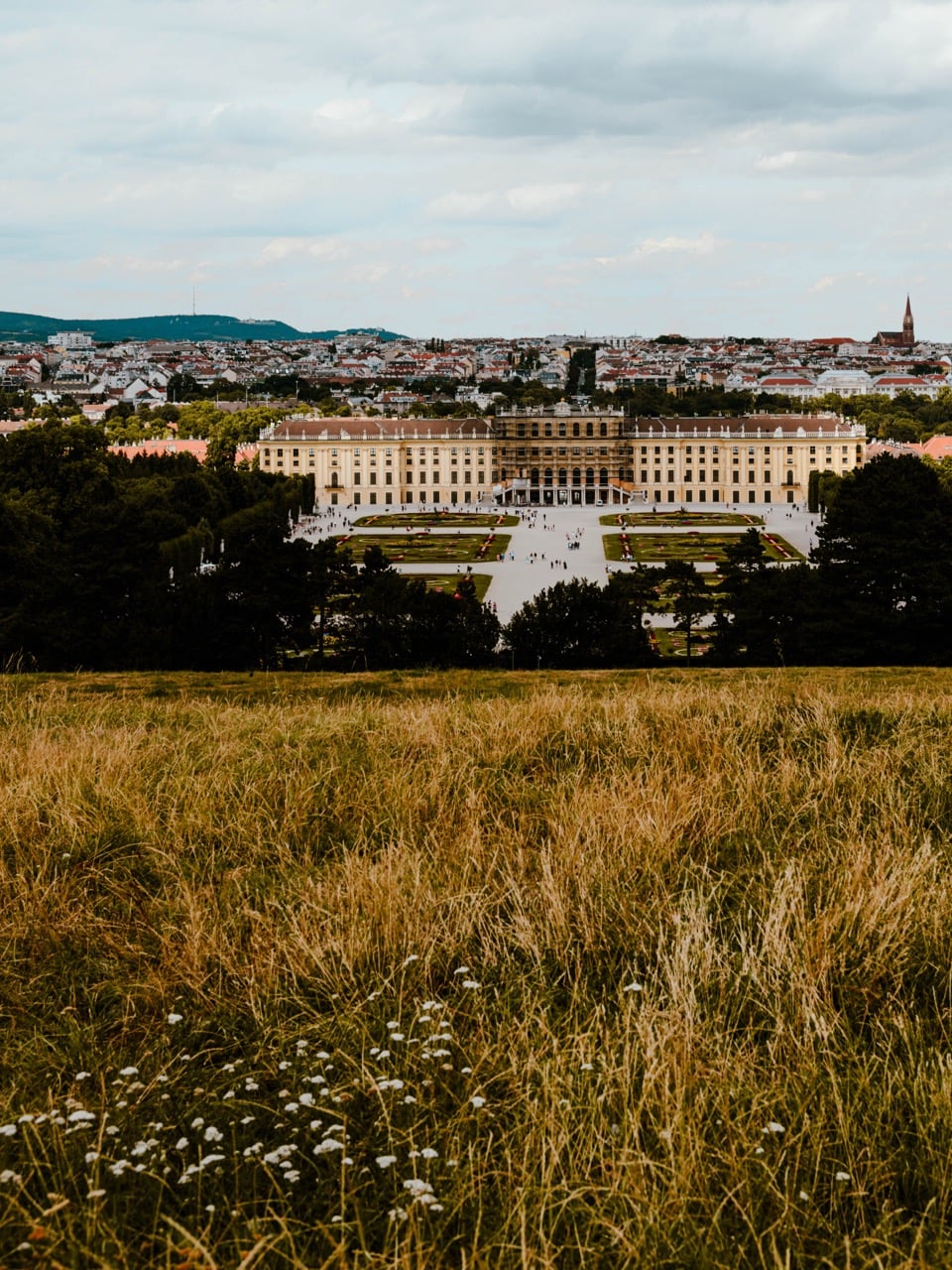 A hilltop view of Schönbrunn Palace in Vienna