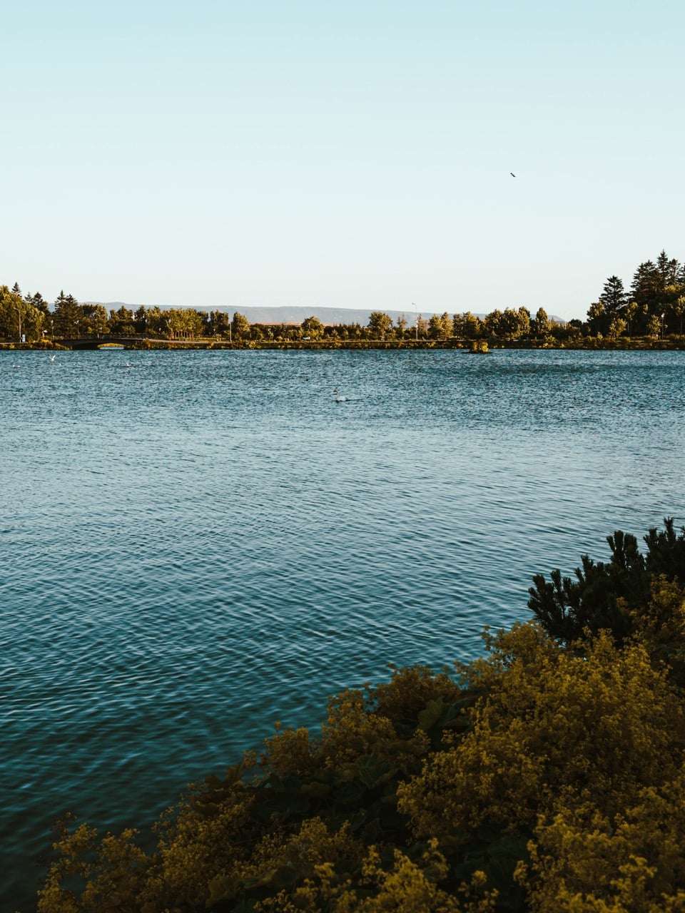 Tjörnin Lake in Reykjavík, Iceland
