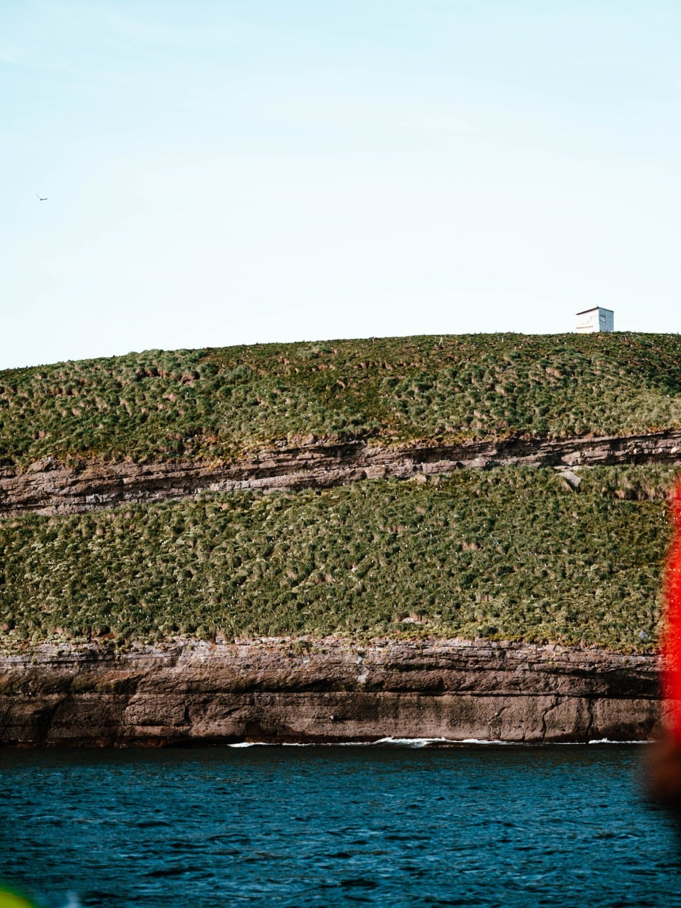 Seeing an island of puffins in Iceland from a whale-watching tour in Húsavík