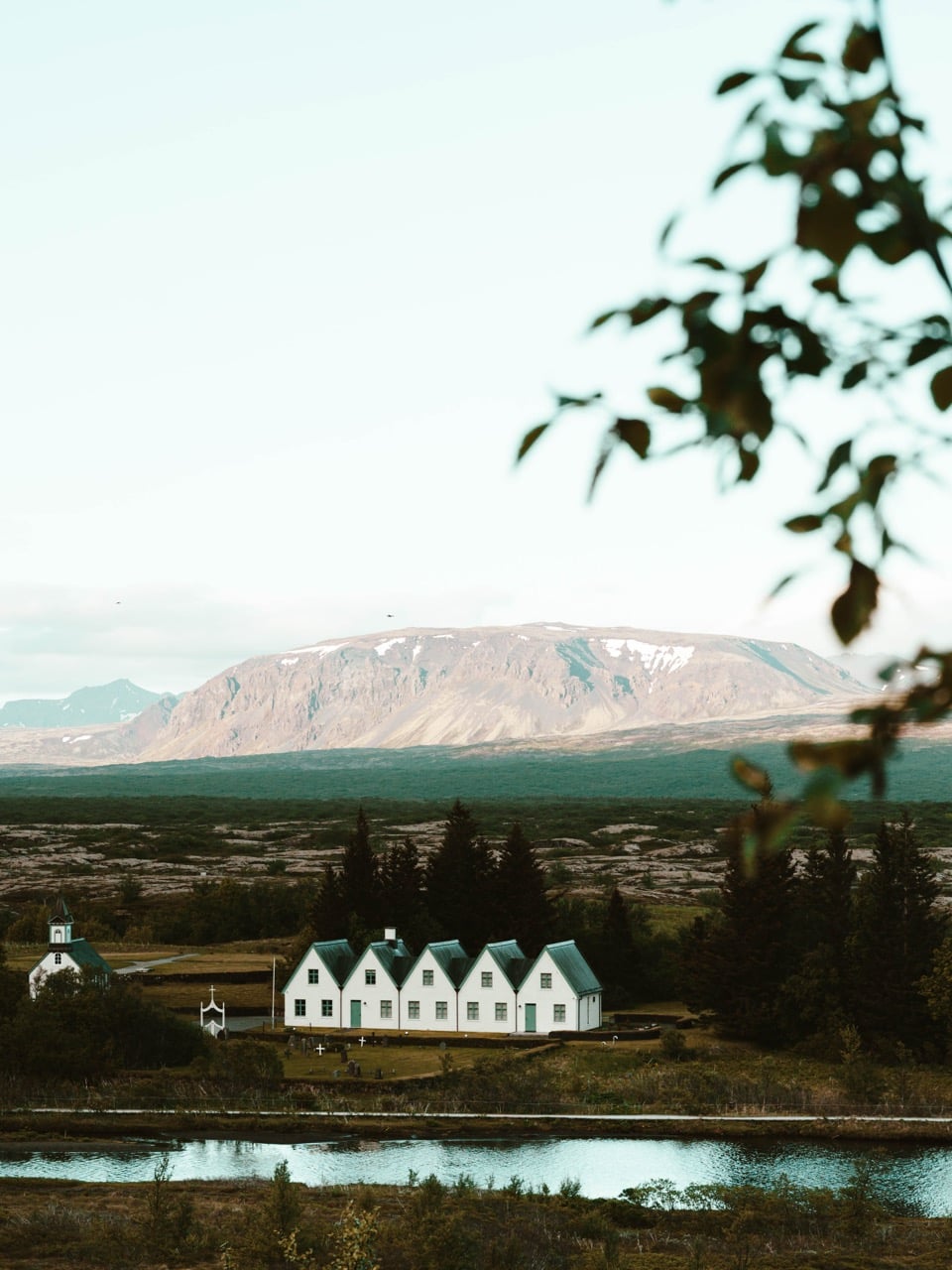 Thingvellir National Park with leaves in the foreground